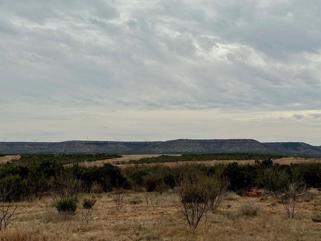 Image 11 of property listing at 537 Lone Mills Road, Robert Lee, TX 76945