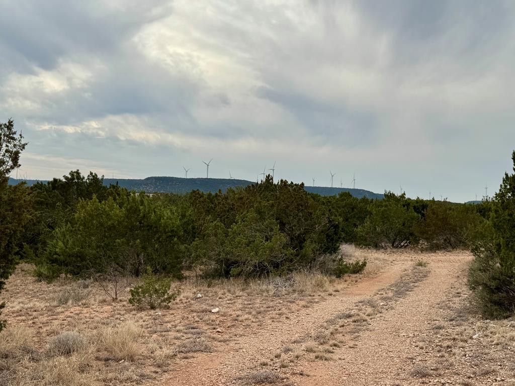 Image 2 of property listing at 537 Lone Mills Road, Robert Lee, TX 76945