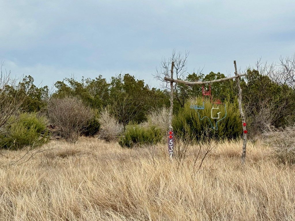 Image 3 of property listing at 537 Lone Mills Road, Robert Lee, TX 76945