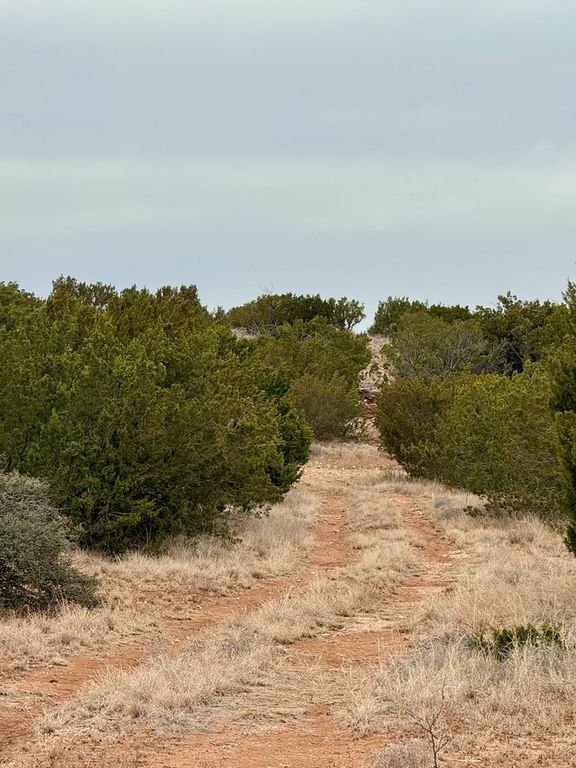 Image 4 of property listing at 537 Lone Mills Road, Robert Lee, TX 76945