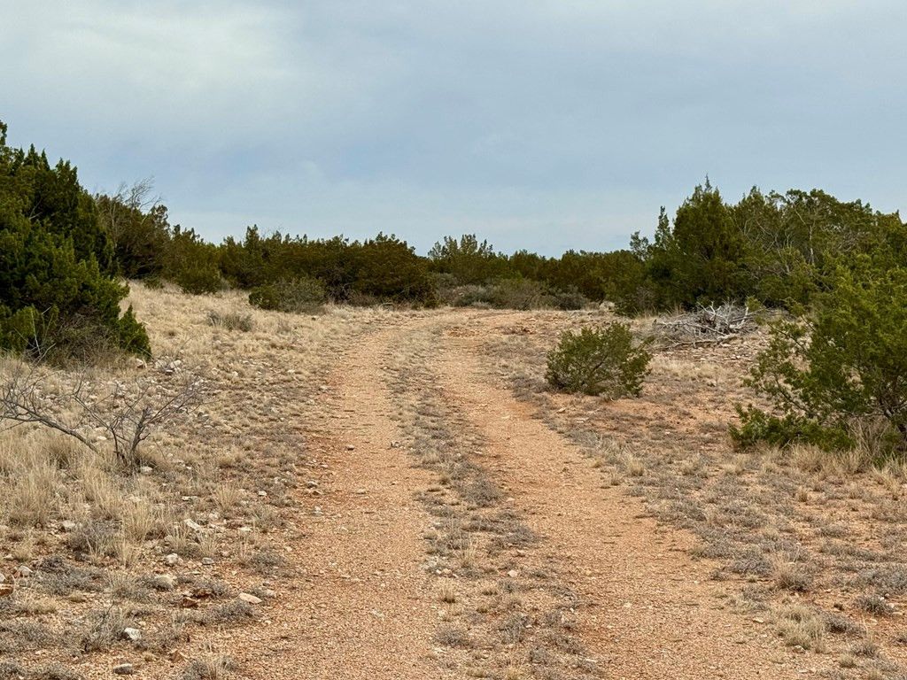 Image 5 of property listing at 537 Lone Mills Road, Robert Lee, TX 76945