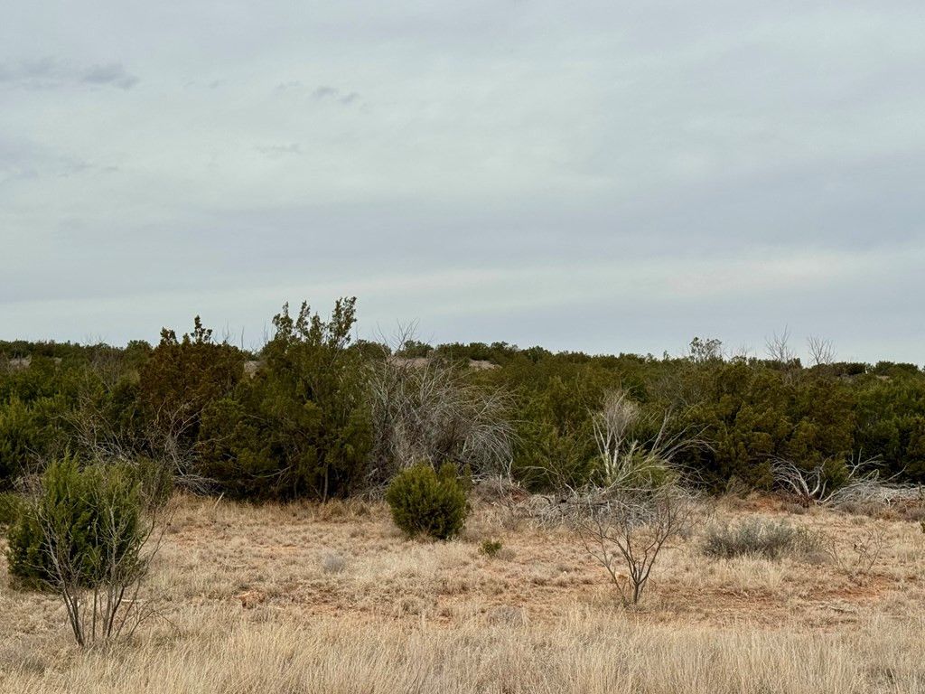 Image 6 of property listing at 537 Lone Mills Road, Robert Lee, TX 76945