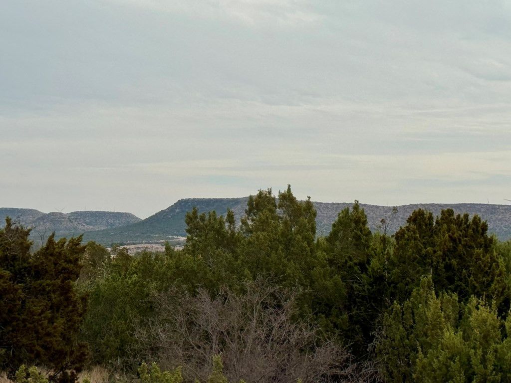 Image 7 of property listing at 537 Lone Mills Road, Robert Lee, TX 76945