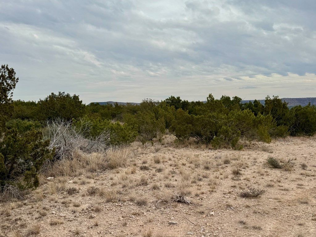 Image 8 of property listing at 537 Lone Mills Road, Robert Lee, TX 76945