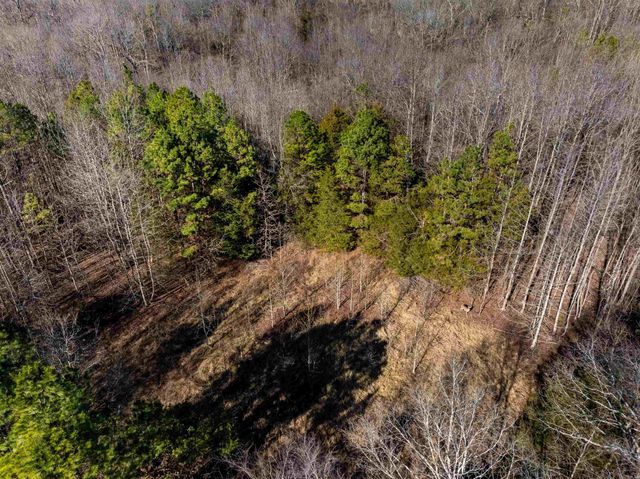 523 E Red Barn Road, Cave City, AR 72521