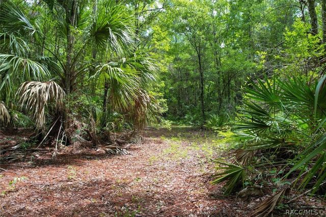 8059 W Jonathan Lane 5, Crystal River, FL 34429