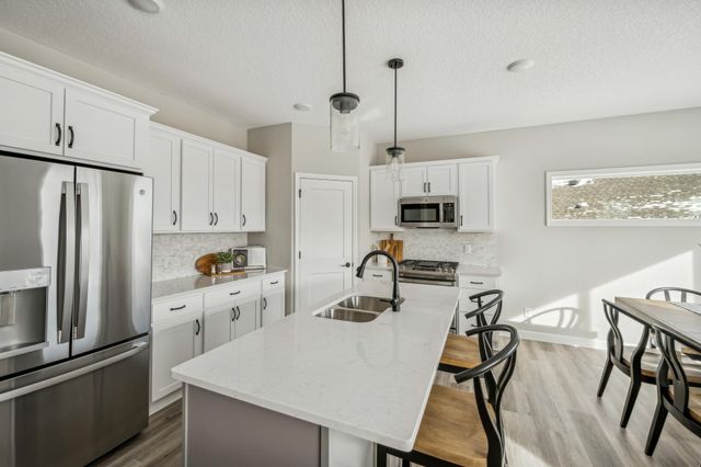 676 Goldenrod Court, Delano, MN 55328