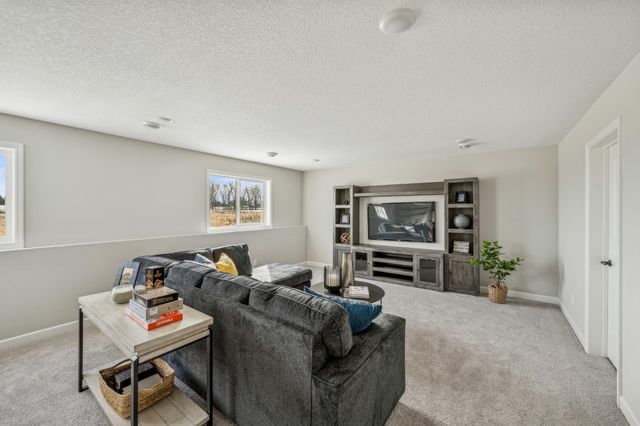 676 Goldenrod Court, Delano, MN 55328