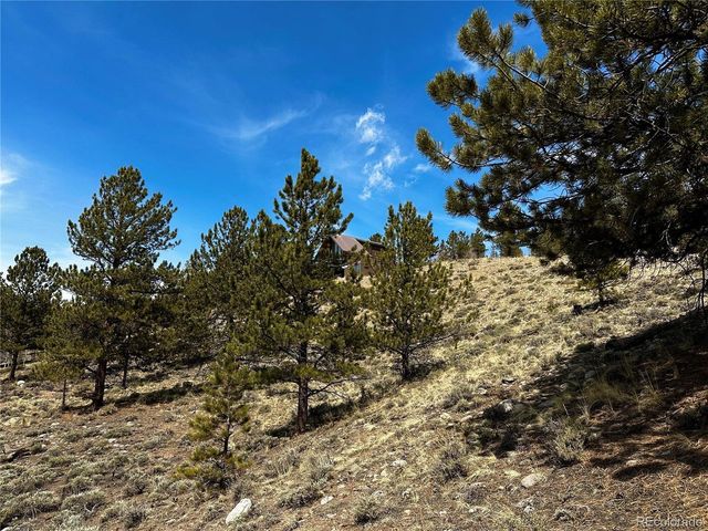 199 Twin Peaks Dr, Twin Lakes, CO 81251
