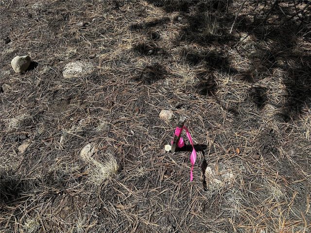 199 Twin Peaks Dr, Twin Lakes, CO 81251