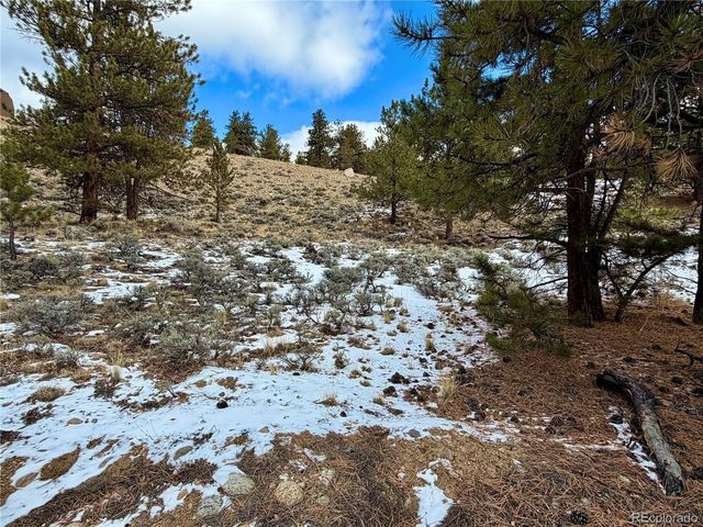 199 Twin Peaks Dr, Twin Lakes, CO 81251