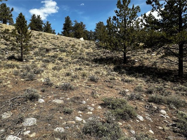 199 Twin Peaks Dr, Twin Lakes, CO 81251