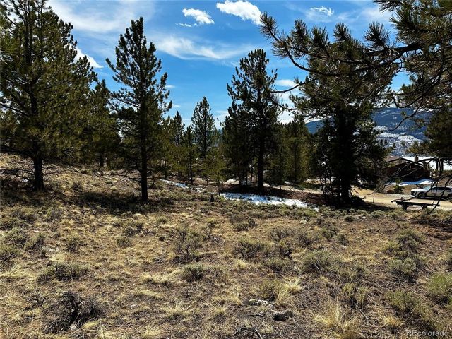 199 Twin Peaks Dr, Twin Lakes, CO 81251