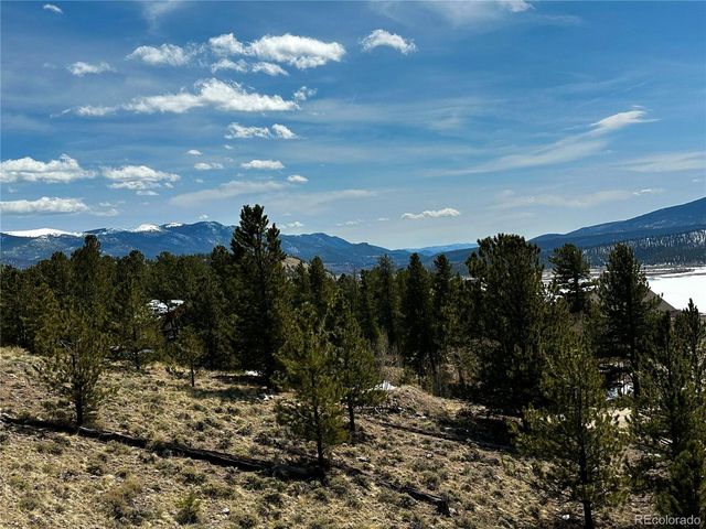 199 Twin Peaks Dr, Twin Lakes, CO 81251