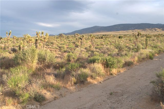 0 223rd St E, Llano, CA 93544