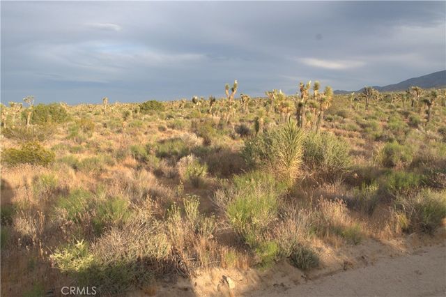 0 223rd St E, Llano, CA 93544
