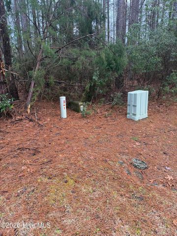 180 Tall Pines Drive, Oriental, NC 28571