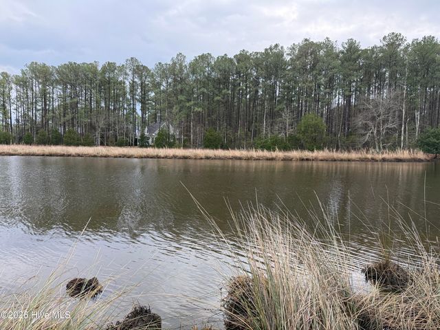 180 Tall Pines Drive, Oriental, NC 28571