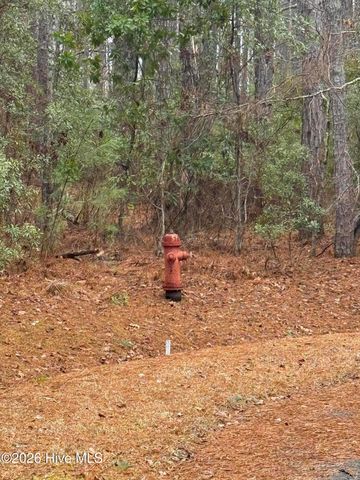 180 Tall Pines Drive, Oriental, NC 28571