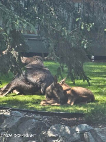 9502 Dinaaka Circle, Eagle River, AK 99577