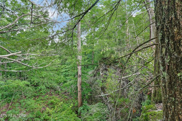 0 Dripping Springs Rd, Monterey, TN 38574