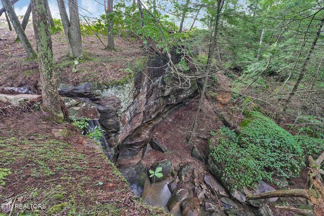 0 Dripping Springs Rd, Monterey, TN 38574