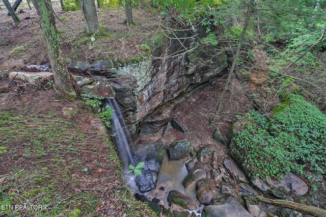 0 Dripping Springs Rd, Monterey, TN 38574