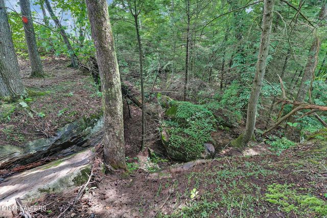 0 Dripping Springs Rd, Monterey, TN 38574