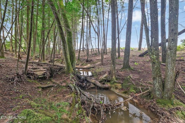 0 Dripping Springs Rd, Monterey, TN 38574