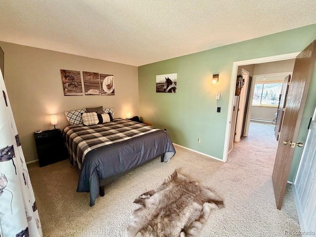 258 Cove Blvd 9, Dillon, CO 80435