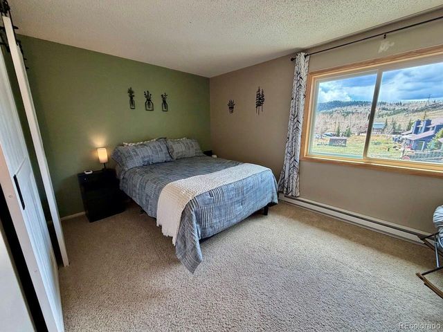 258 Cove Blvd 9, Dillon, CO 80435
