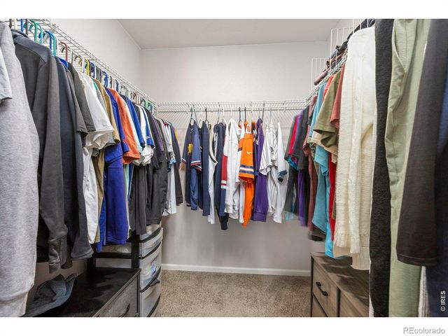 7253 Shavano Avenue, Frederick, CO 80504