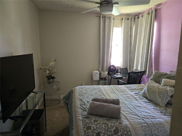 3165 PHLOX DRIVE, Palm Harbor, FL 34684