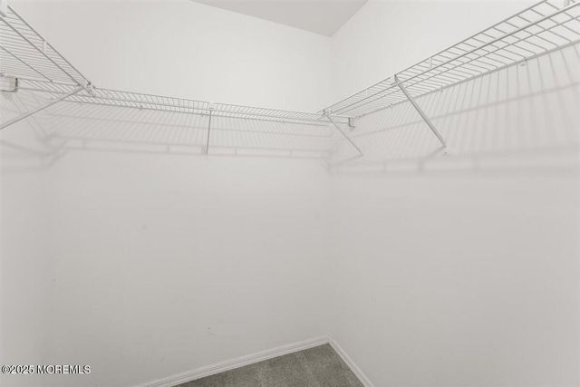 19 Augusta Court 8, Freehold, NJ 07728