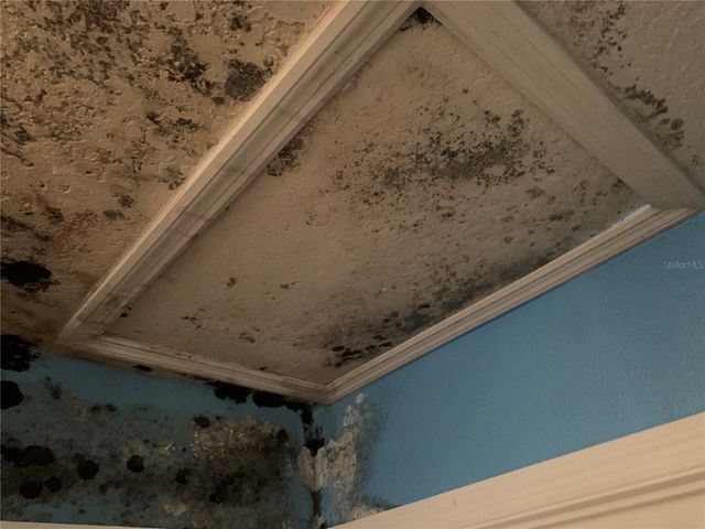 6022 E TREMONT STREET, Inverness, FL 34452