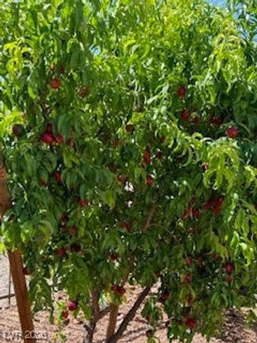 5119 East Long Leaf Court, Pahrump, NV 89061