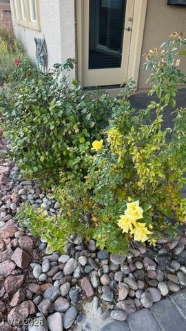 5119 East Long Leaf Court, Pahrump, NV 89061