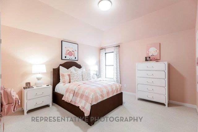 307 Barbet Court, Montgomery, TX 77316