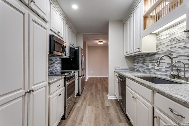 1 Towers Park Ln Apt 717, San Antonio, TX 78209