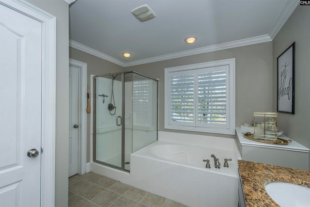 505 Fairwind Drive, Chapin, SC 29036