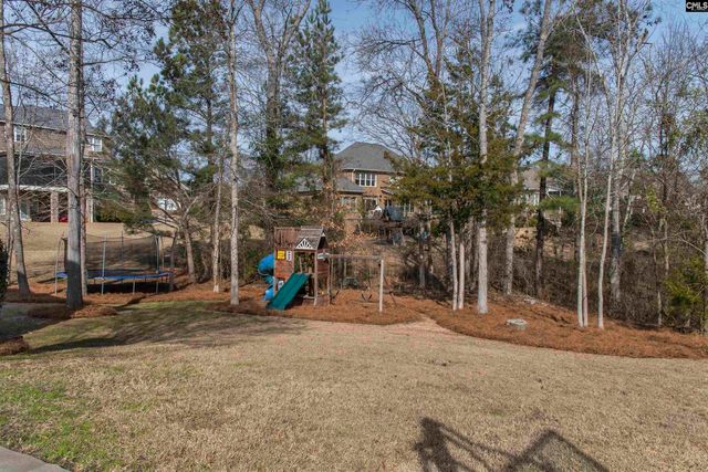 505 Fairwind Drive, Chapin, SC 29036