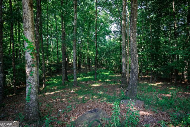 1040 Hillary Lane, Lawrenceville, GA 30043