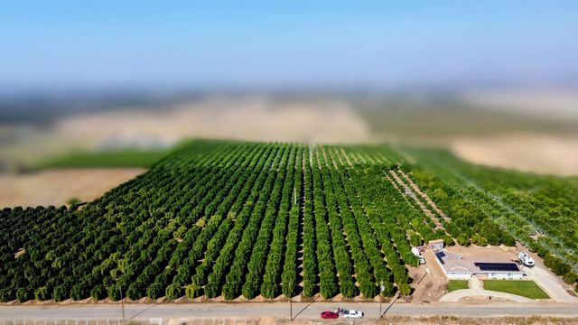 25386 78 Avenue, Terra Bella, CA 93270