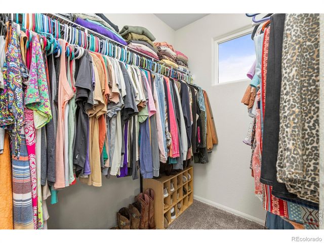 1549 Water Vista Lane, Windsor, CO 80550
