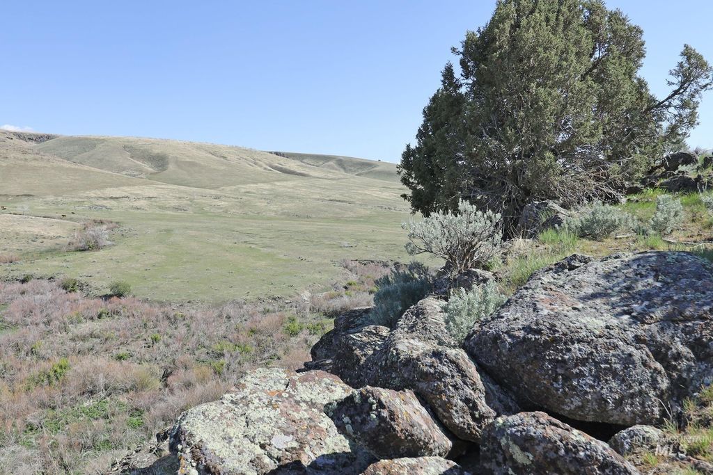 TBD Marsh Creek Road, Albion, ID 83311 photo 18
