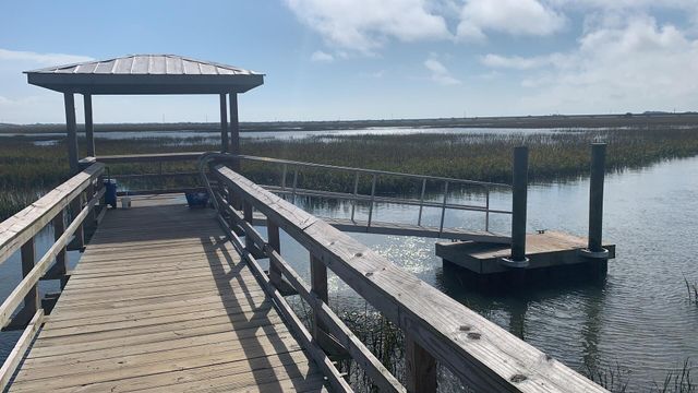 2304 Skyler Drive, Mount Pleasant, SC 29466