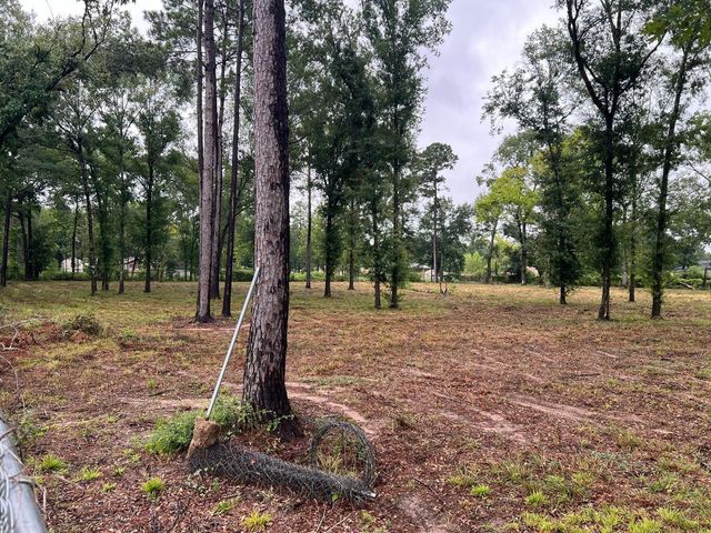 21844 Cherry Street, New Caney, TX 77357