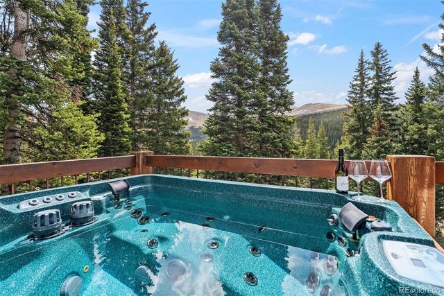 229 Lee Lane, Breckenridge, CO 80424