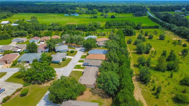10407 S DREW BRYANT CIRCLE, Floral City, FL 34436