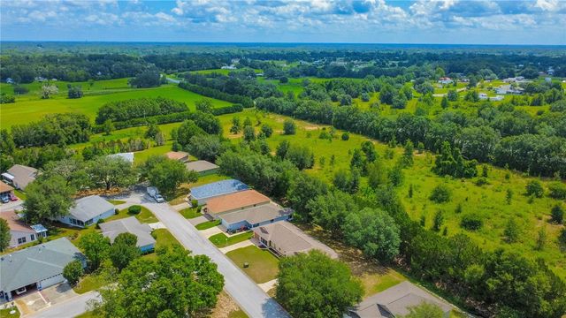10407 S DREW BRYANT CIRCLE, Floral City, FL 34436